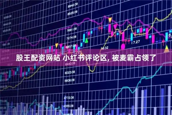 股王配资网站 小红书评论区, 被麦霸占领了