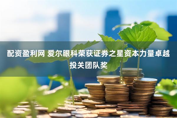 配资盈利网 爱尔眼科荣获证券之星资本力量卓越投关团队奖