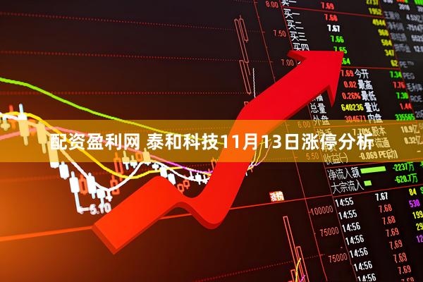 配资盈利网 泰和科技11月13日涨停分析