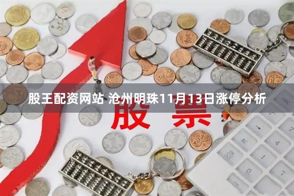 股王配资网站 沧州明珠11月13日涨停分析