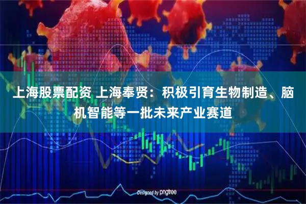 上海股票配资 上海奉贤：积极引育生物制造、脑机智能等一批未来产业赛道