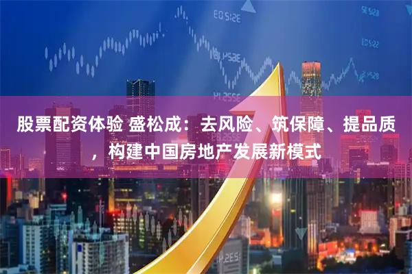 股票配资体验 盛松成：去风险、筑保障、提品质，构建中国房地产发展新模式