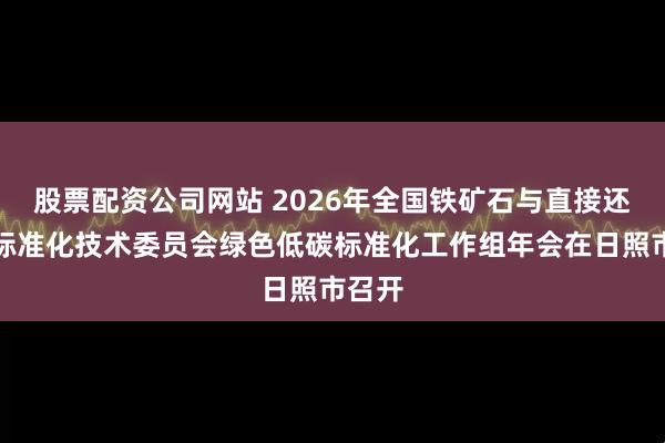 股票配资公司网站 2026年全国铁矿石与直接还原铁标准化技术委员会绿色低碳标准化工作组年会在日照市召开