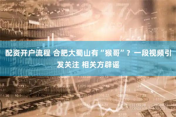 配资开户流程 合肥大蜀山有“猴哥”？一段视频引发关注 相关方辟谣